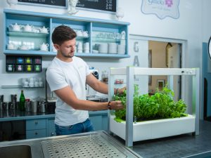greenYOu Zimmergewächshaus fürs Indoorgardening